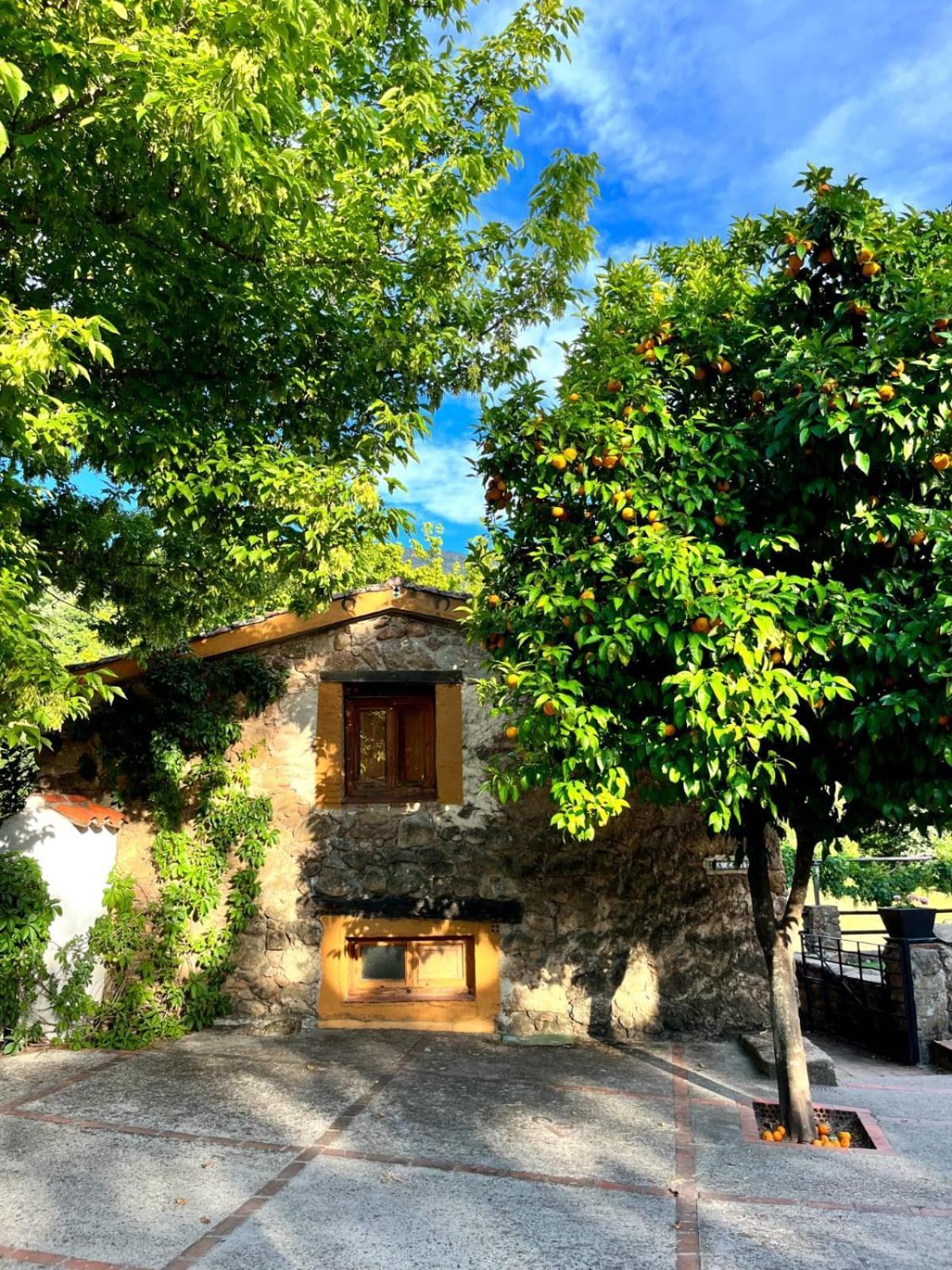La Casería Navaconcejo Exterior foto